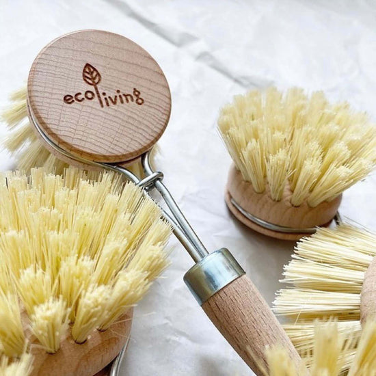 ecoLiving Brushes Wooden Dish Brush Replacement Head  - Natural Plant Bristles (FSC 100%) - EcoLiving