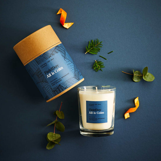 FieldDay Candles FieldDay Large Winter Candle - All is Calm - Eucalyptus, Spearmint and Orange - 190g