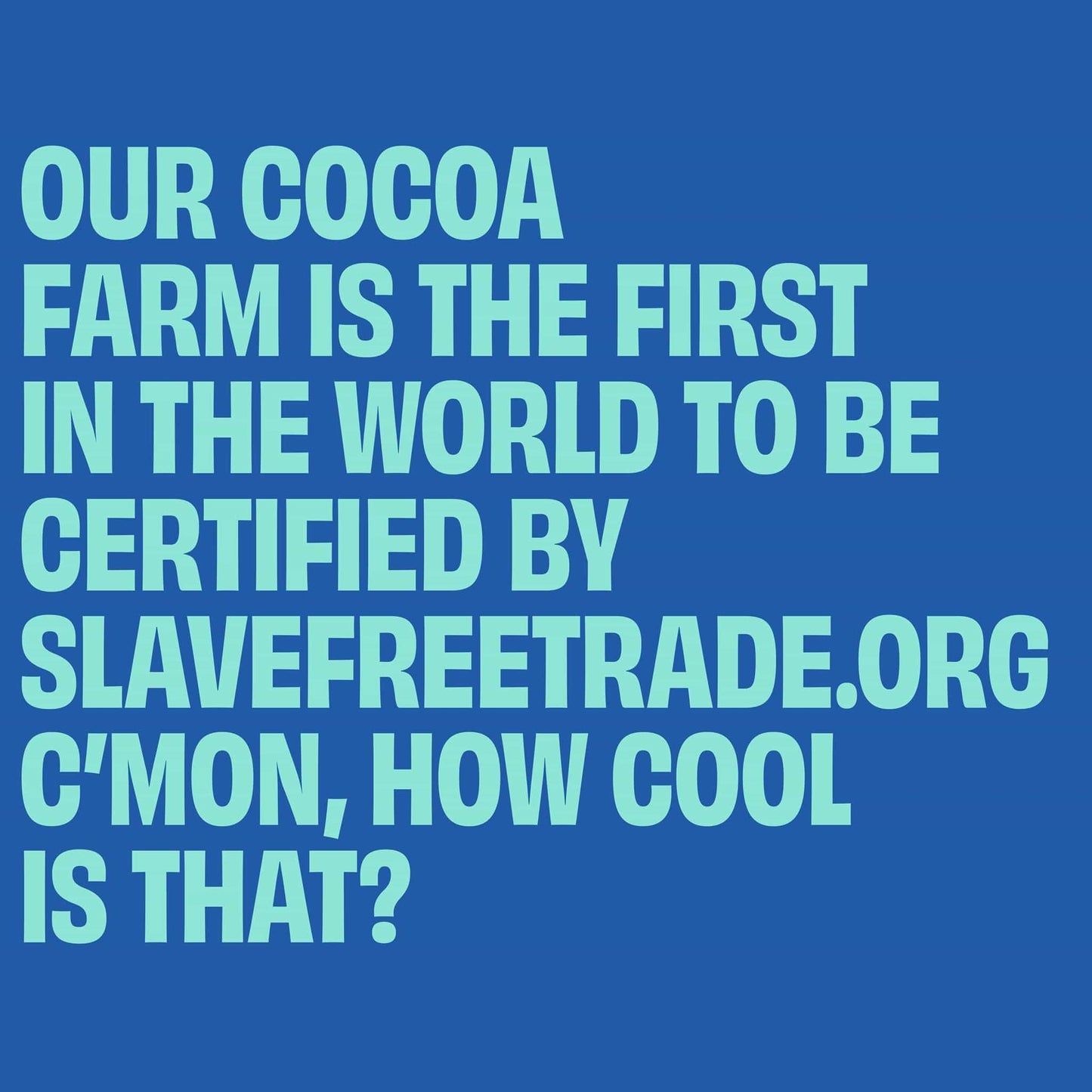 UP-UP Chocolate Chocolate UP-UP Original Milk Chocolate Bar 120G