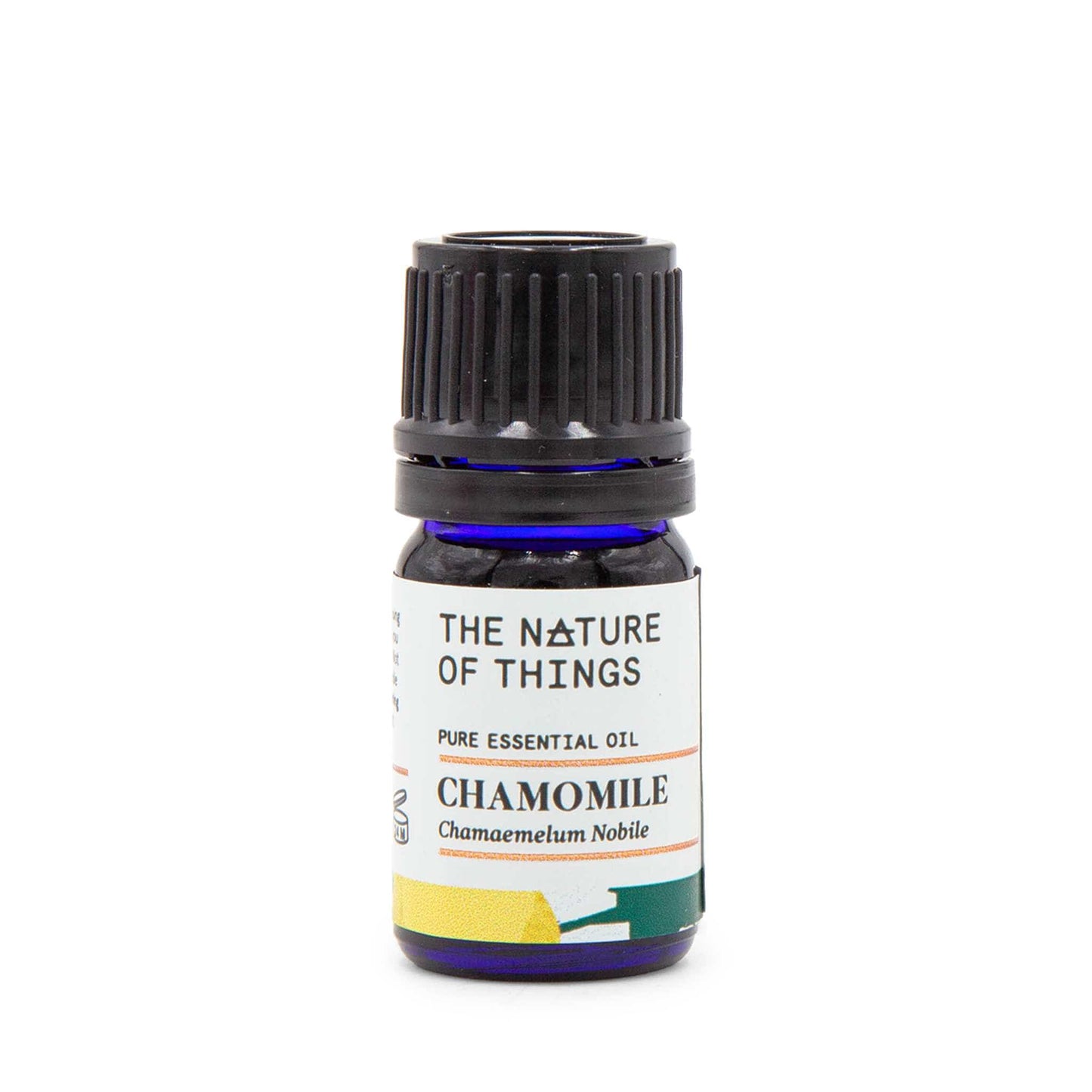 The Nature of Things Essential Oil Chamomile Essential Oil (Roman Chamomile) - The Nature of Things – 5ml