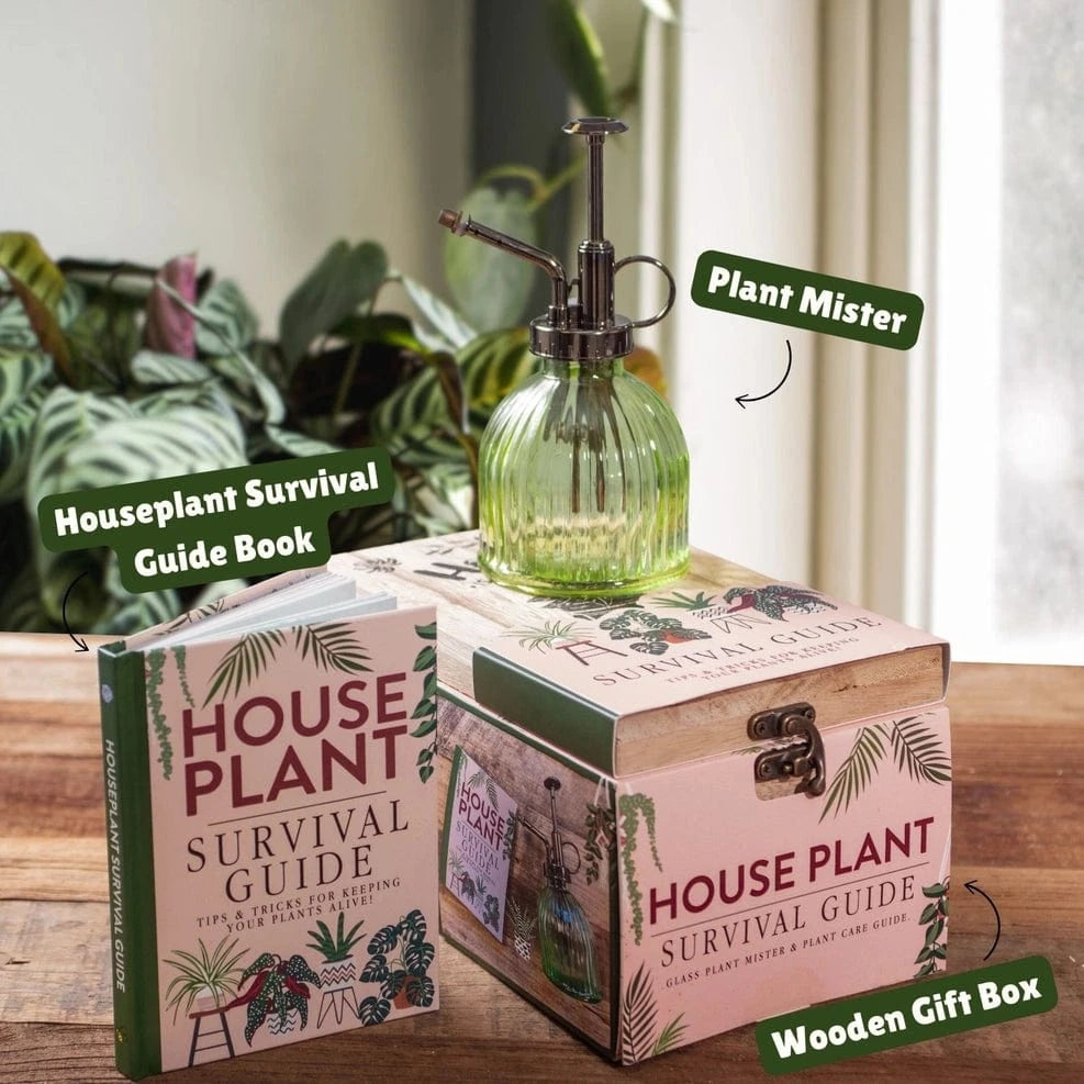 Boxer Gifts gift sets Houseplant Survival Set - Book & Glass Mister in Wooden Gift Box