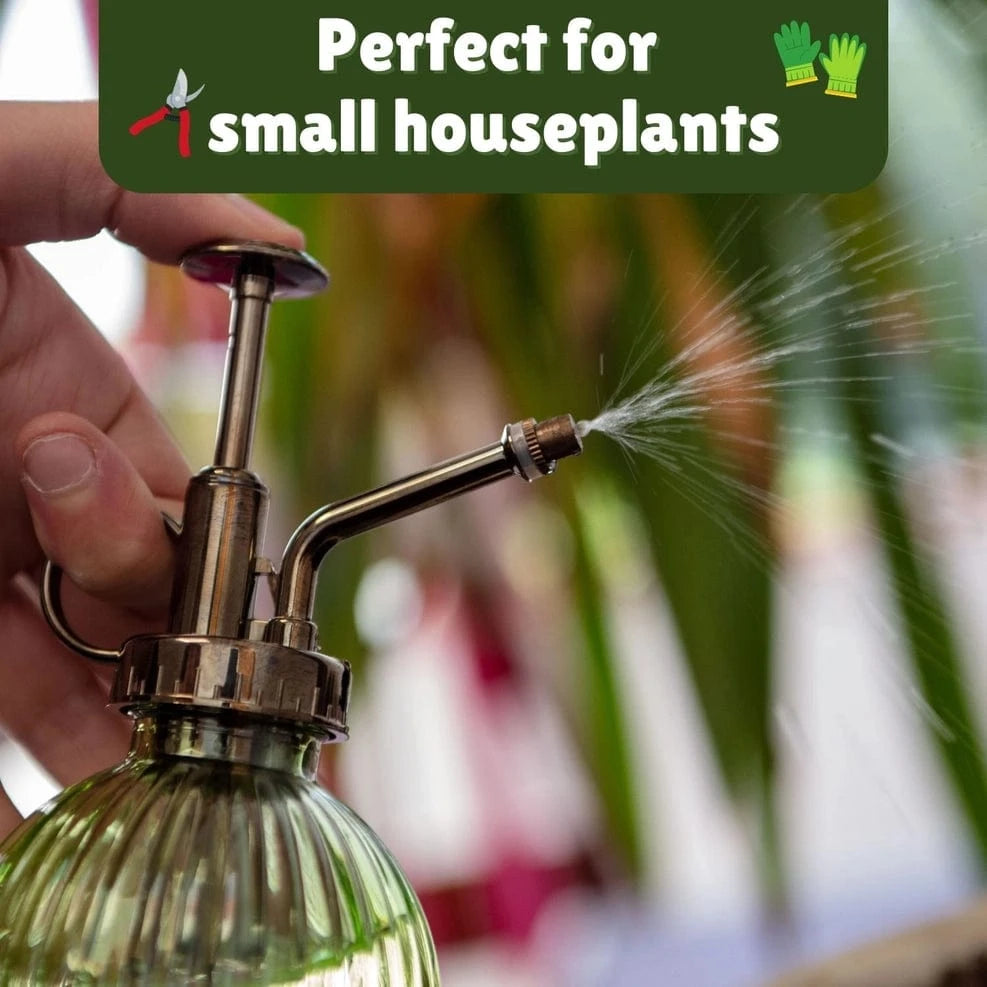 Boxer Gifts gift sets Houseplant Survival Set - Book & Glass Mister in Wooden Gift Box