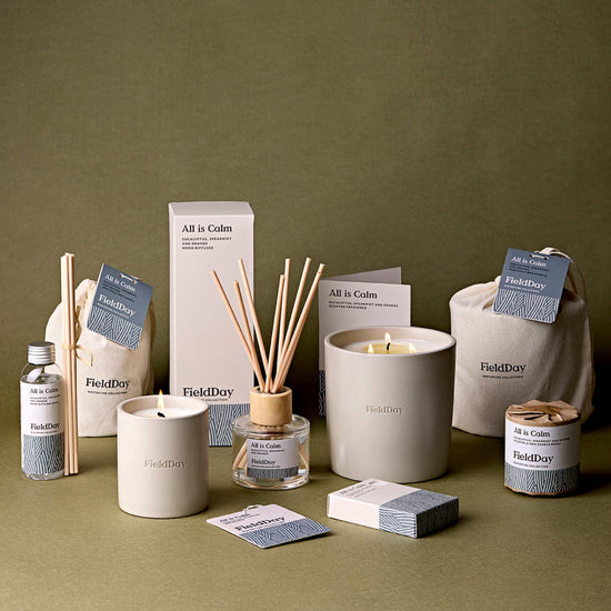 FieldDay Home Fragrance All is Calm Diffuser - Eucalyptus, Spearmint & Orange - 100ml - FieldDay