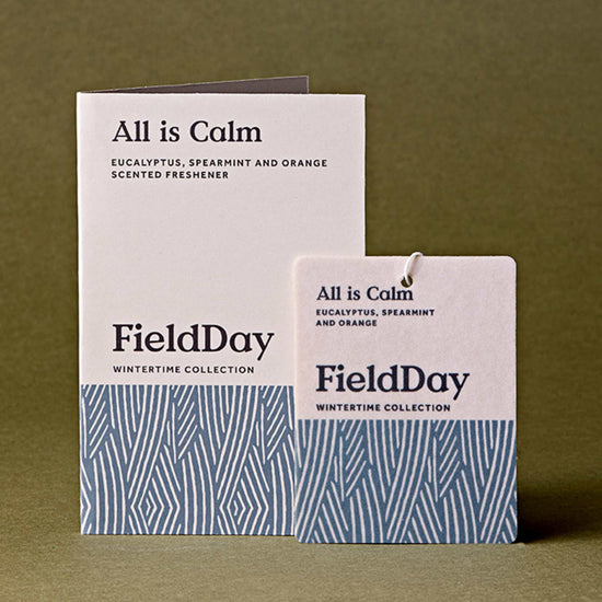 FieldDay Home Fragrance All is Calm Scented Freshener –  Eucalyptus, Spearmint & Orange – 19g