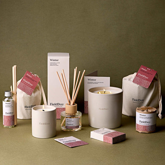 FieldDay Home Fragrance FieldDay Classic Winter Diffuser - Cinnamon, Orange & Clove - 100ml