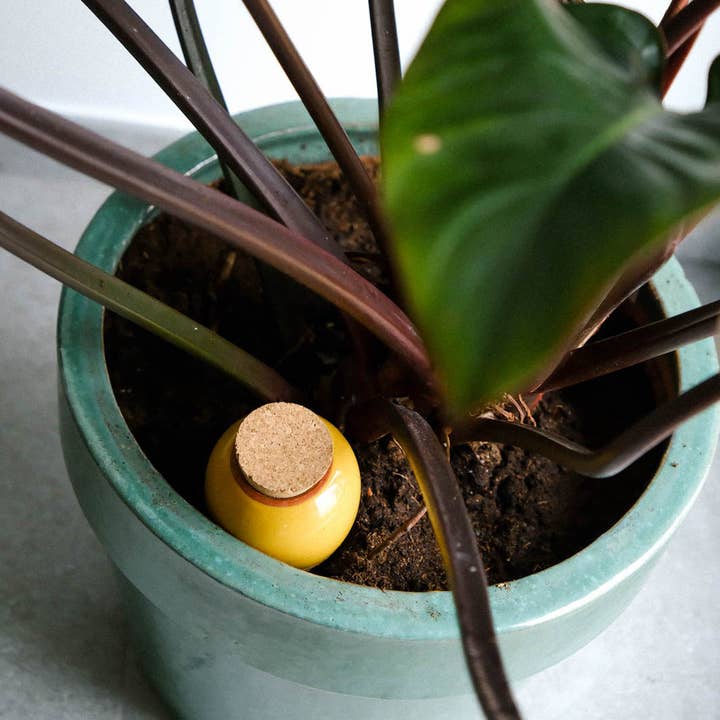 Pepin Homewares Olla - Mustard Yellow - Self-Watering Plant Waterer - Microporous Ceramic