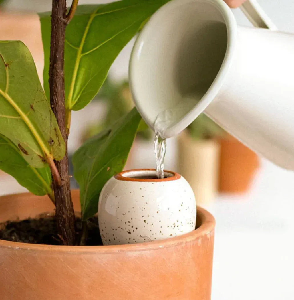 Pepin Homewares Olla - Speckled White - Self-Watering Plant Waterer - Microporous Ceramic
