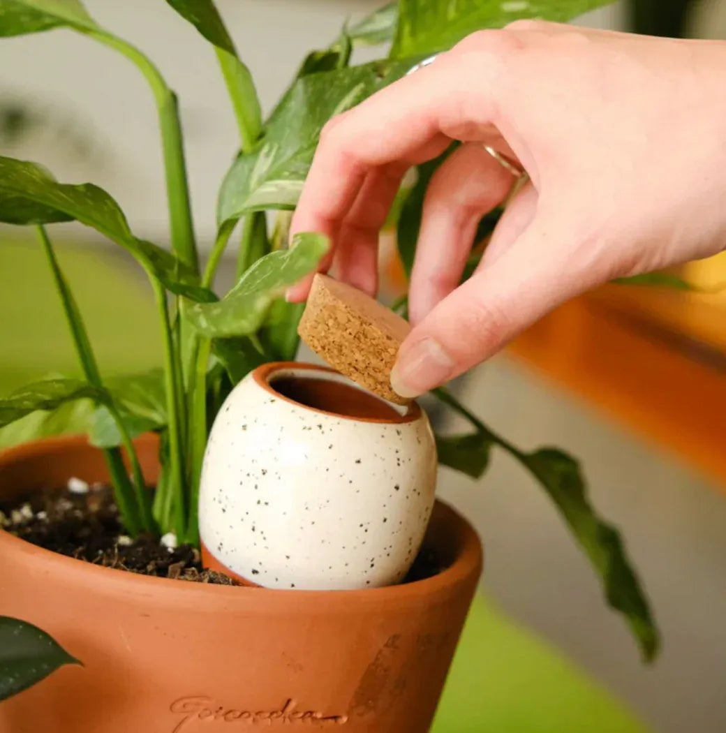 Pepin Homewares Olla - Speckled White - Self-Watering Plant Waterer - Microporous Ceramic
