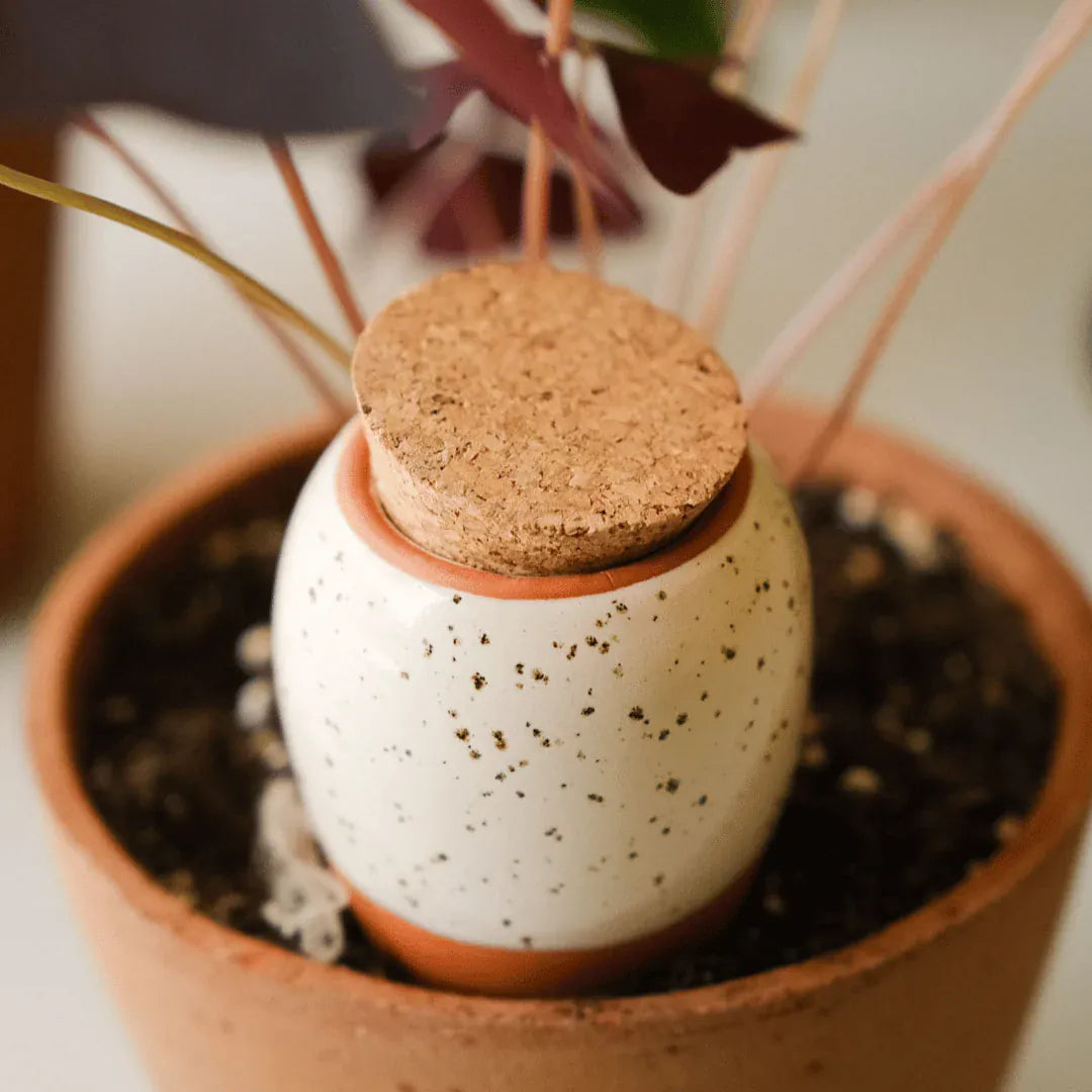 Pepin Homewares Olla - Speckled White - Self-Watering Plant Waterer - Microporous Ceramic