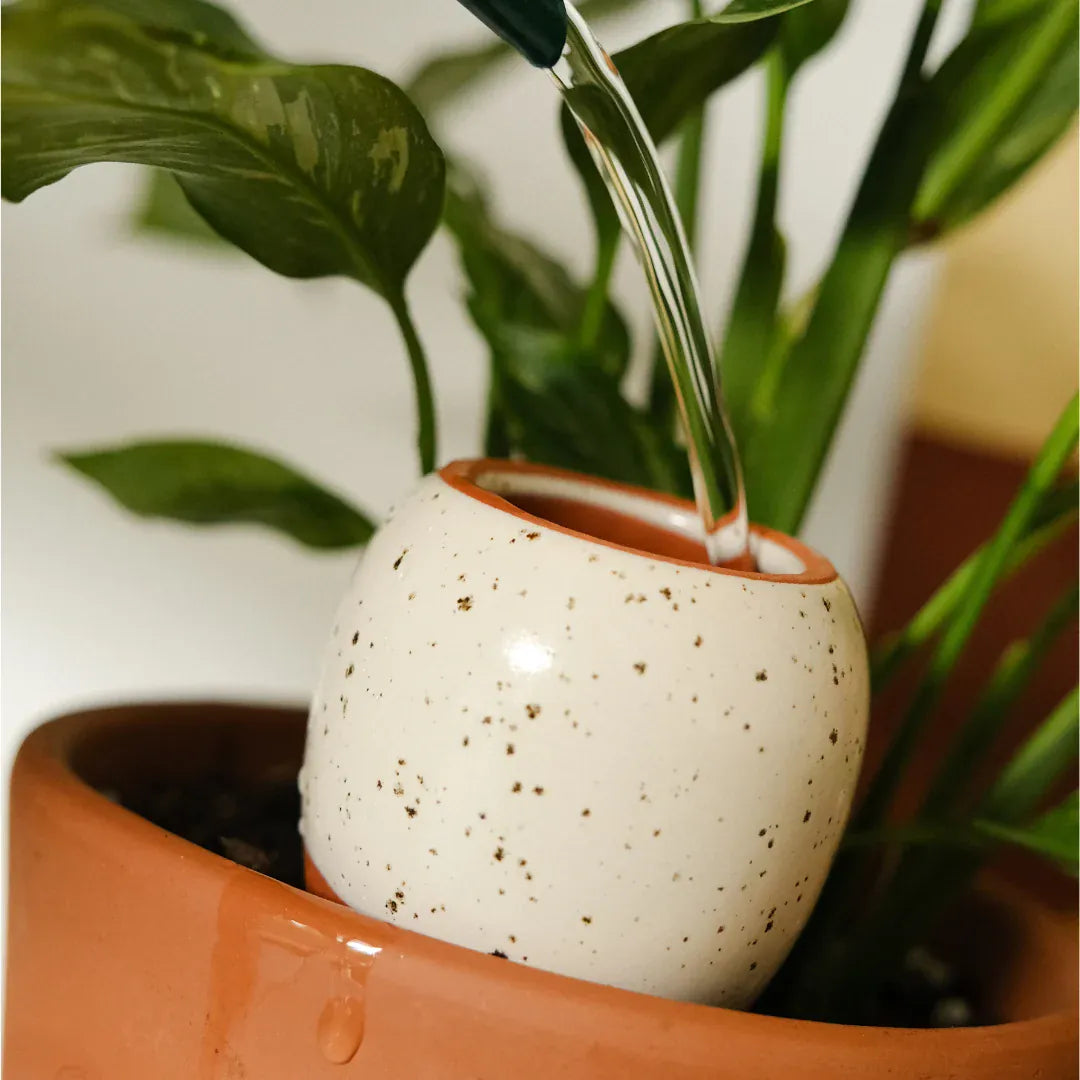 Pepin Homewares Olla - Speckled White - Self-Watering Plant Waterer - Microporous Ceramic