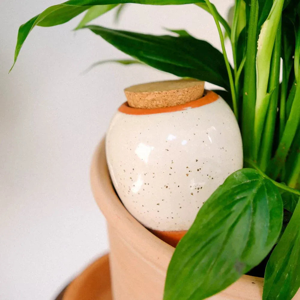 Pepin Homewares Olla - Speckled White - Self-Watering Plant Waterer - Microporous Ceramic