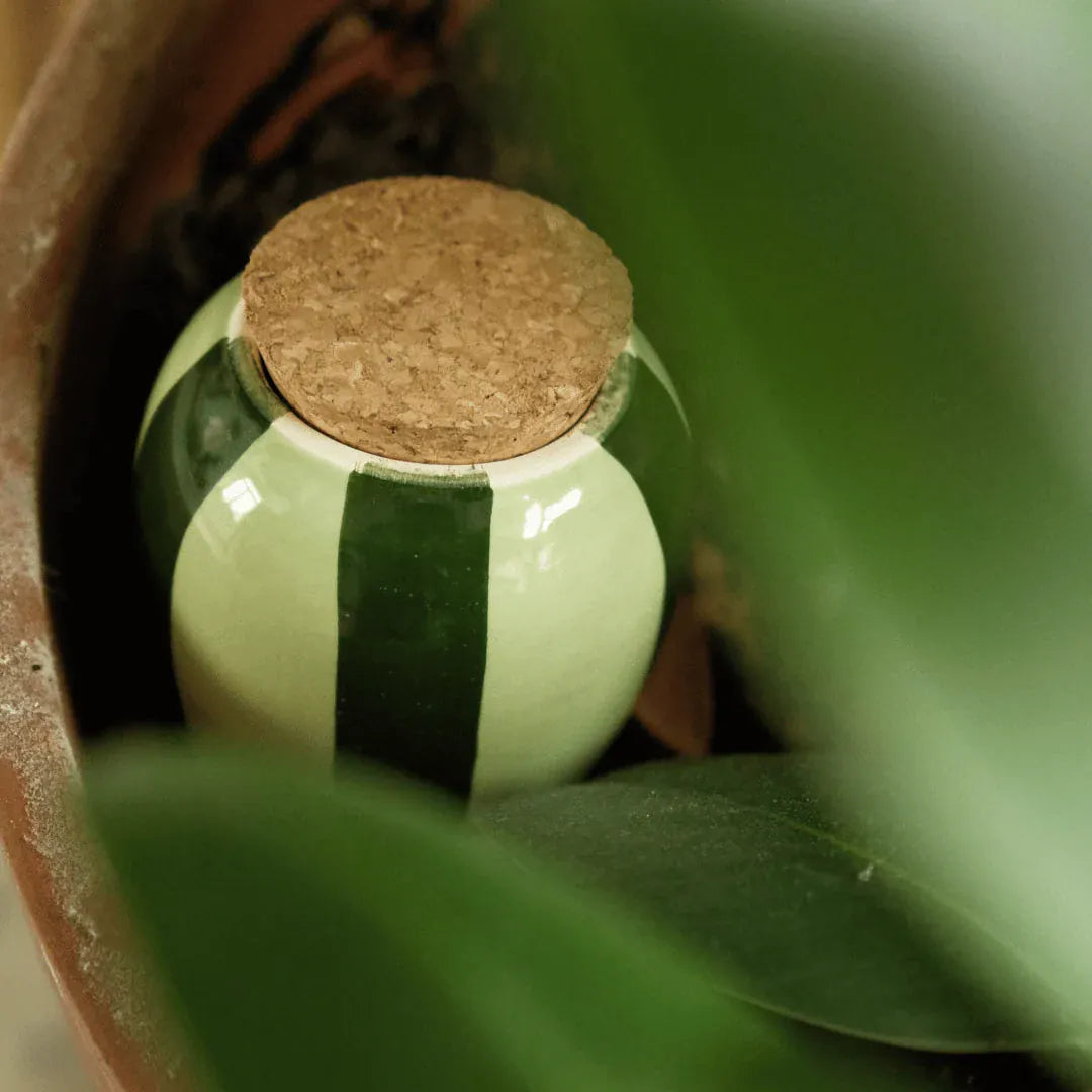 Pepin Homewares Olla - Striped Green - Self-Watering Plant Waterer - Microporous Ceramic