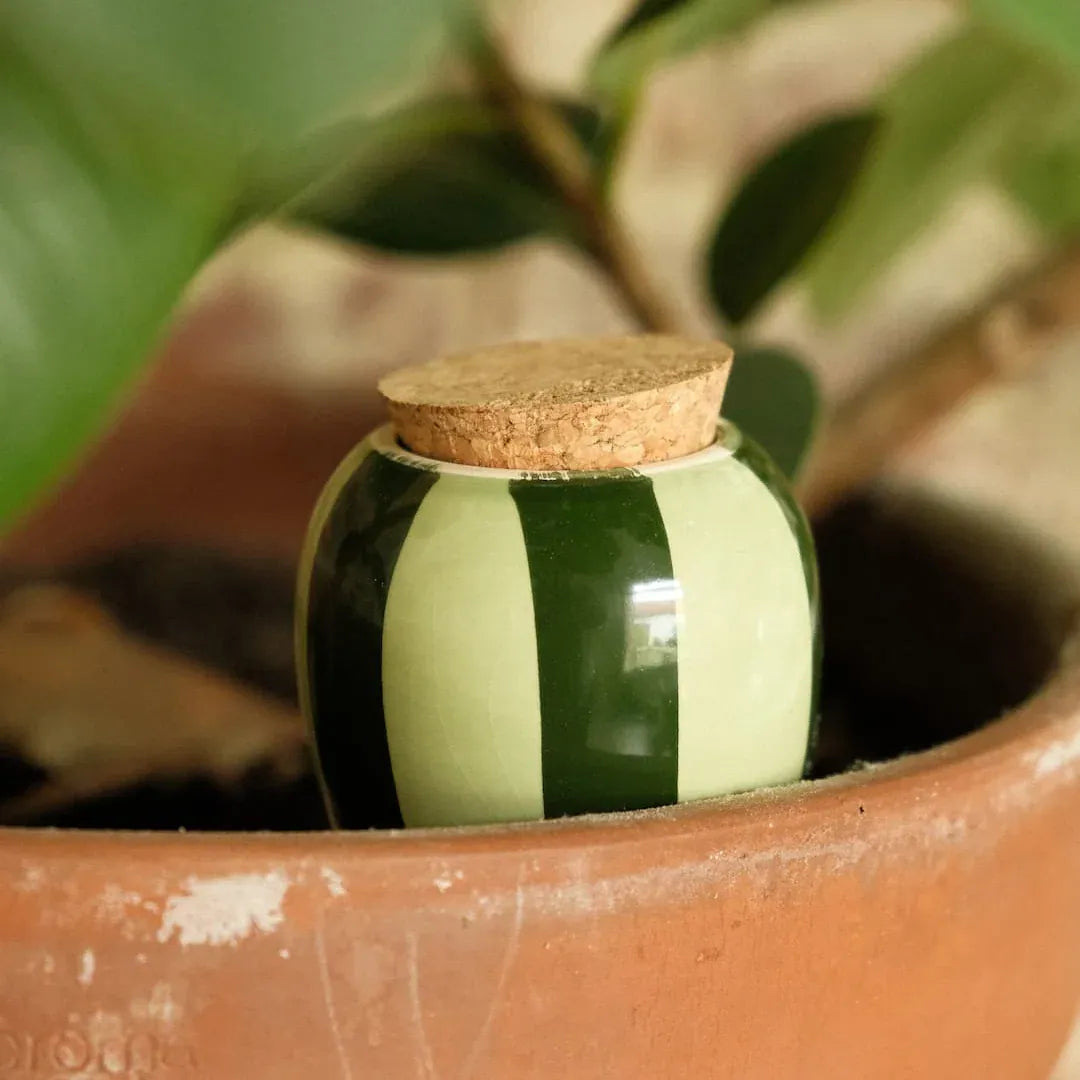 Pepin Homewares Olla - Striped Green - Self-Watering Plant Waterer - Microporous Ceramic