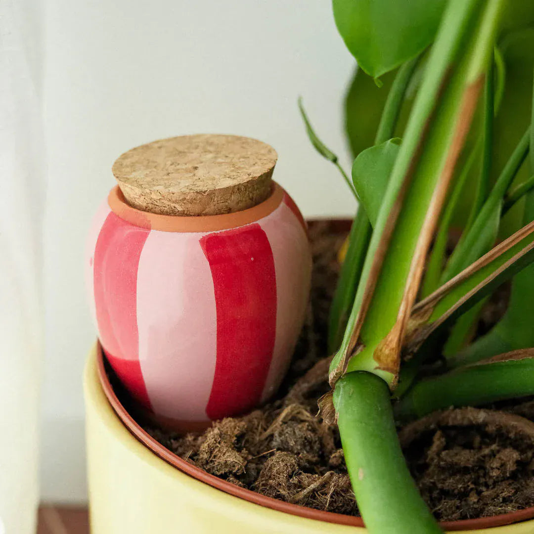 Pepin Homewares Olla - Striped Red and Pink - Self-Watering Plant Waterer - Microporous Ceramic