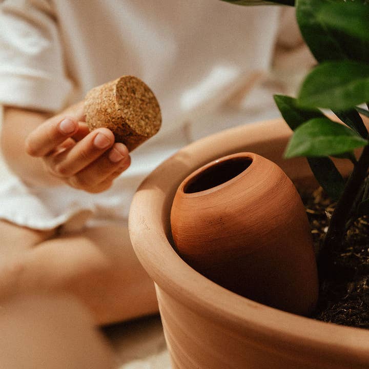 Pepin Homewares Olla - Terracotta - Self-Watering Plant Waterer - Microporous Ceramic