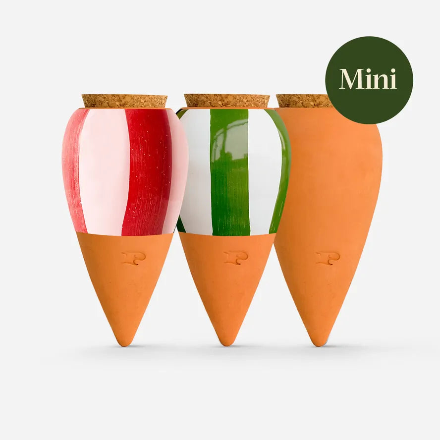 Pepin Homewares The Striped Trio Mini Ollas - Self-Watering Plant Waterers - Microporous Ceramic - Set of 3