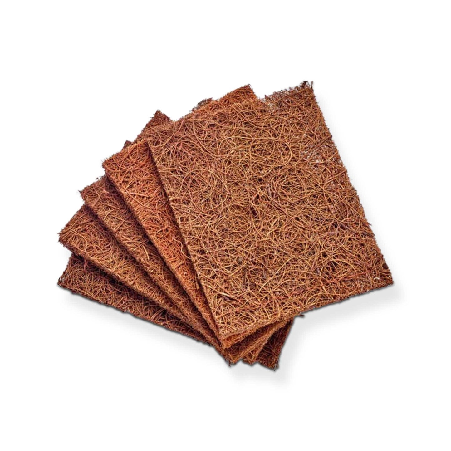 Re:gn Household Cleaning Products Biodegradable Coconut Kitchen Scourer Pads – Plastic-Free & Durable – Pack of 5