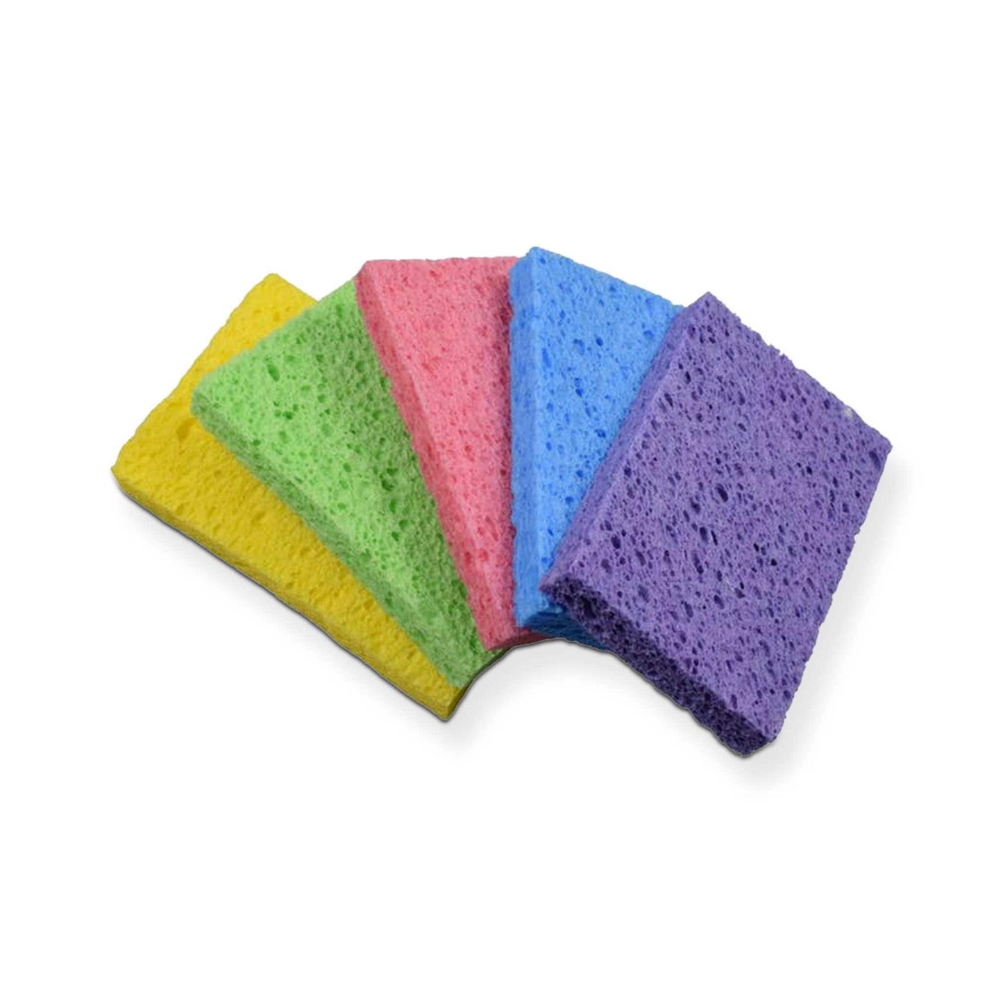 Re:gn Household Cleaning Products Re:gn – Magic Compressed Plant-Based Sponges – Plastic-Free & Durable – 5 Pack