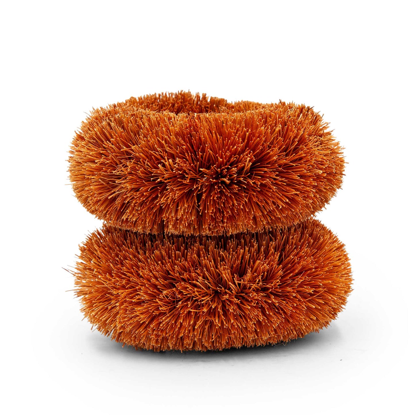 Re:gn Household Cleaning Products Round Coconut Kitchen Scourers – Biodegradable & Plastic-Free – Pack of 2