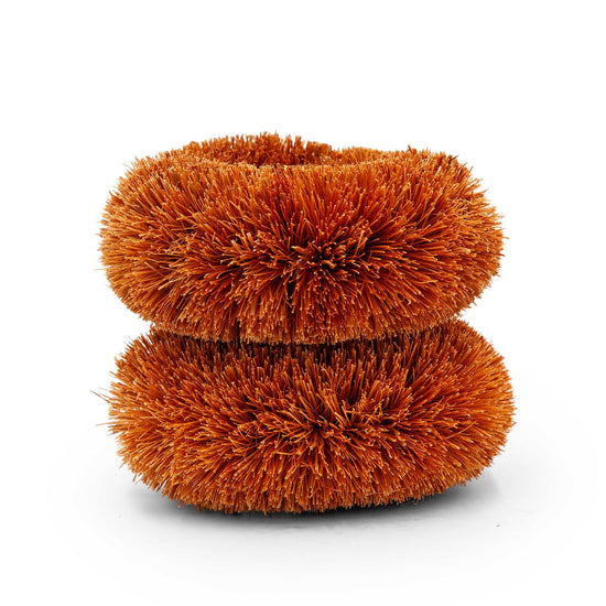 Re:gn Household Cleaning Products Round Coconut Kitchen Scourers – Biodegradable & Plastic-Free – Pack of 2