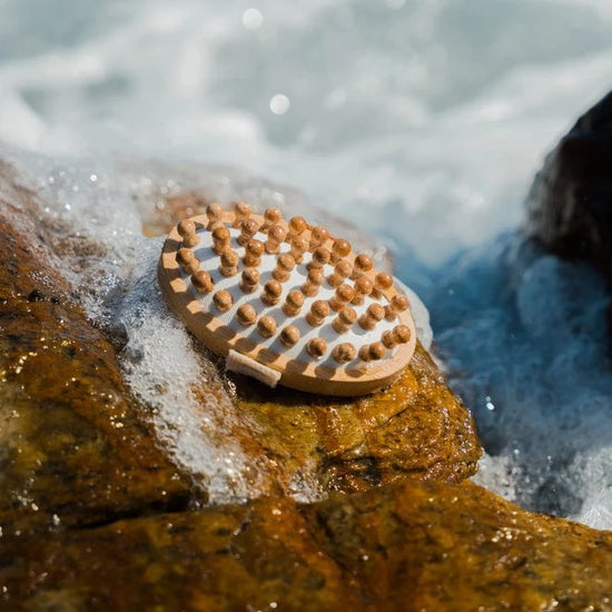 Bamboovement kitchen Anti Cellulite Massage Brush (Bamboo) - Natural & Vegan - Bamboovement