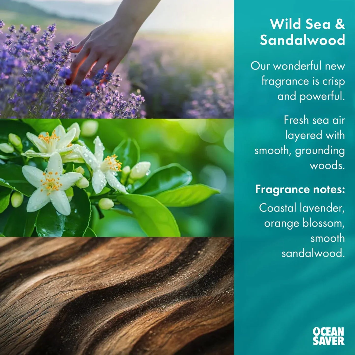 Ocean Saver Laundry Detergent Deep Clean Bio Laundry Capsules - Wild Sea & Sandalwood, 30 Washes - Ocean Saver