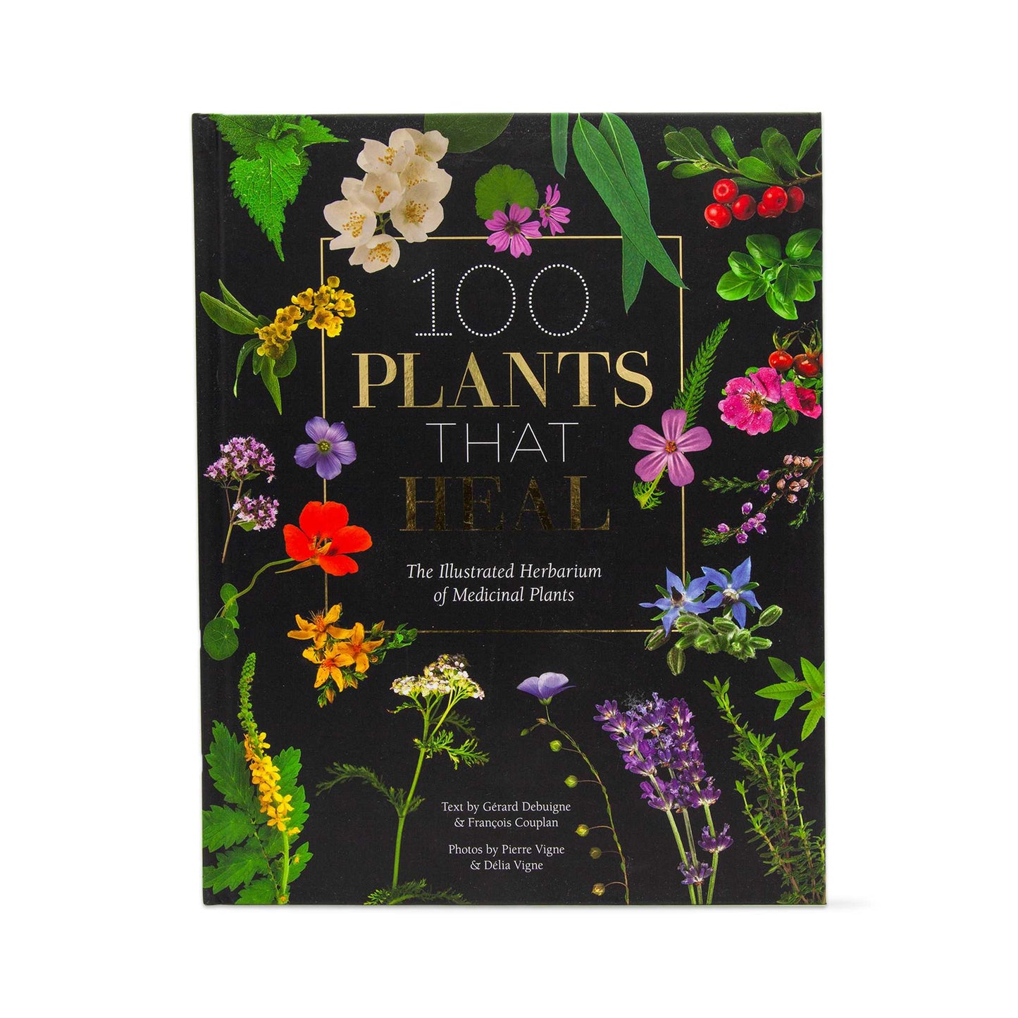 Our Bookshelf Print Books 100 Plants That Heal - Illustrated Herbarium of Medicinal Plants
