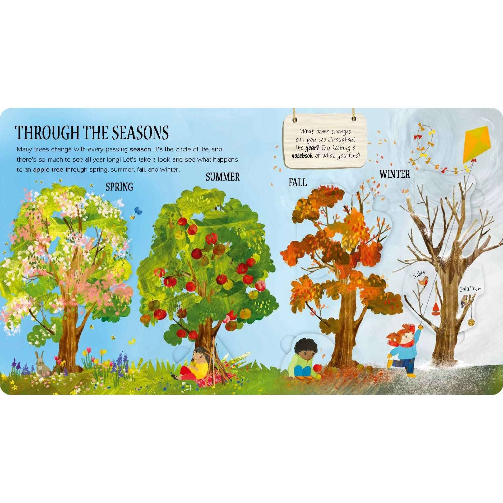 Little Tree and the Wood Wide Web – Faerly