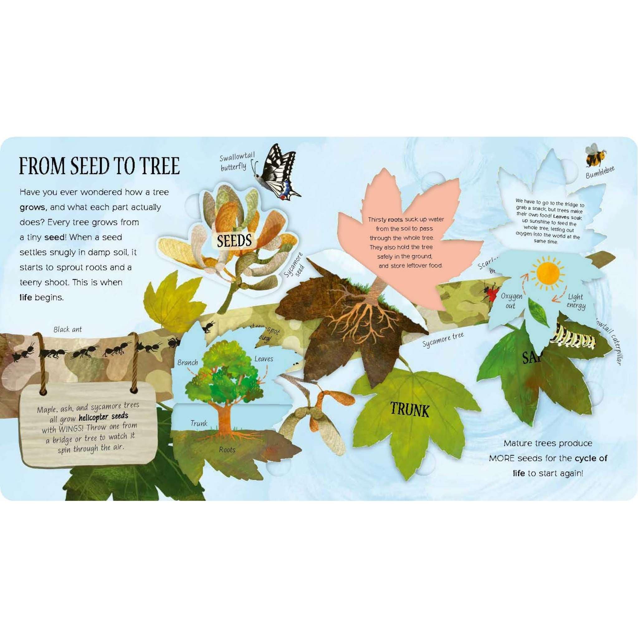 Little Tree and the Wood Wide Web – Faerly