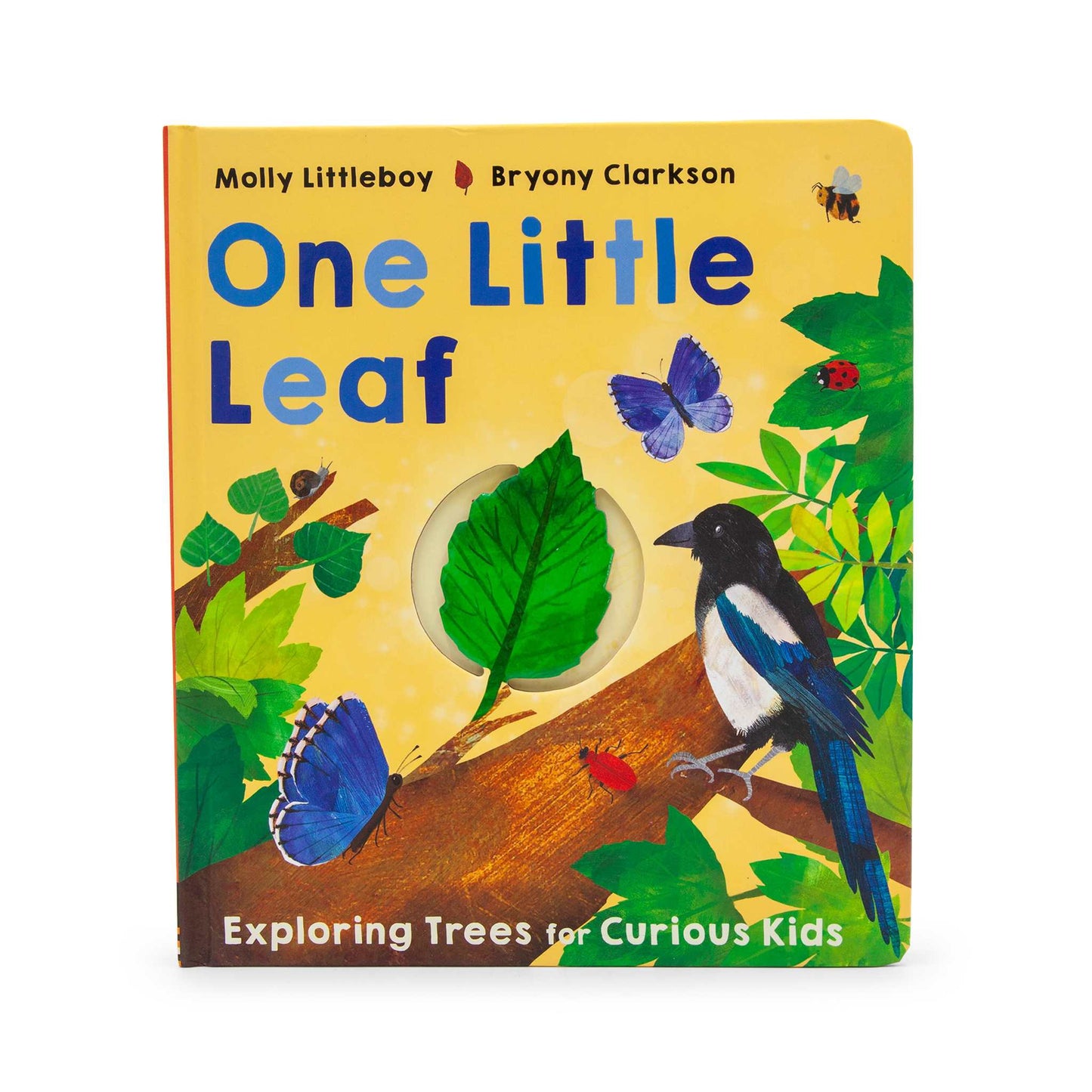 Our Bookshelf Print Books One Little Leaf - Exploring Trees for Curious Kids