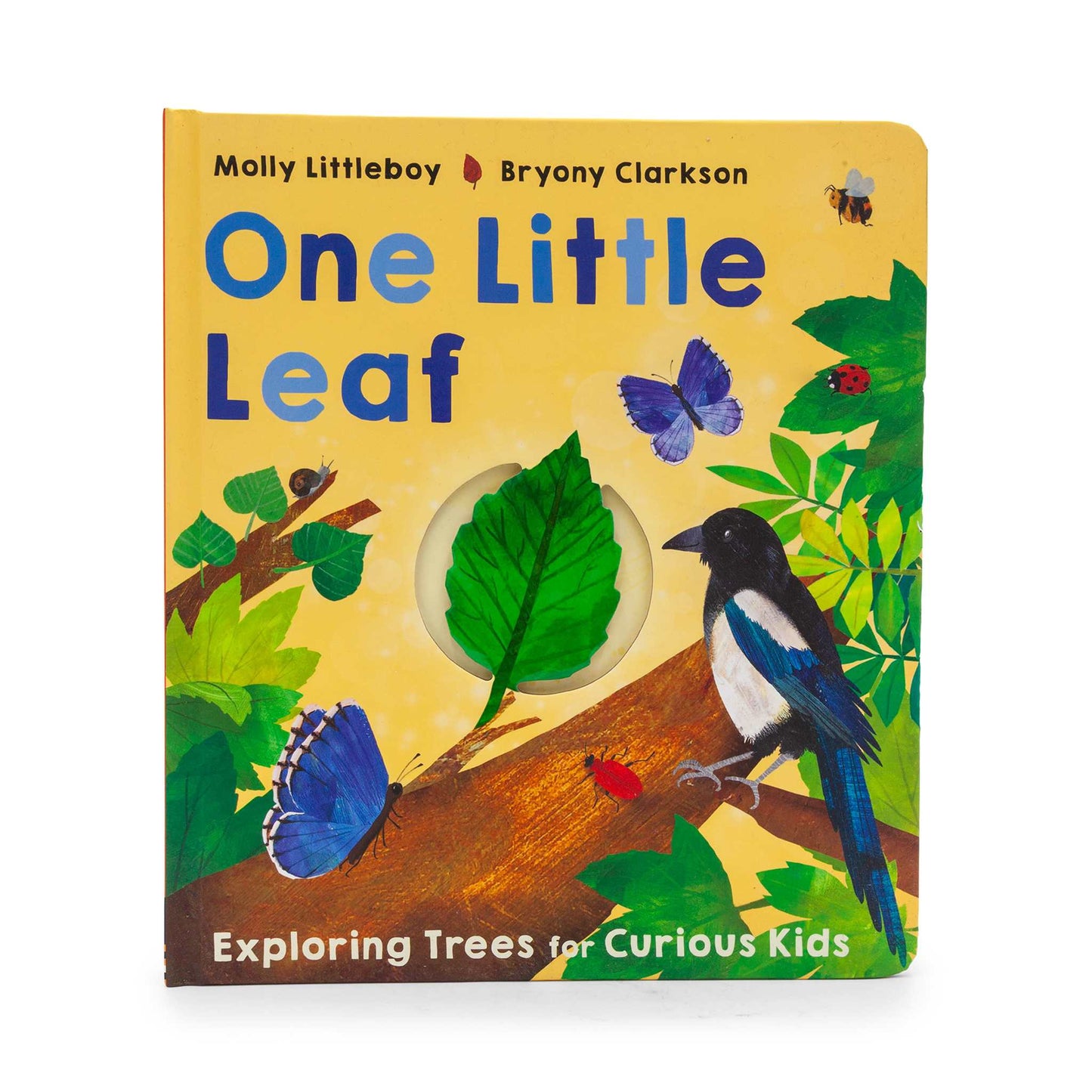 Our Bookshelf Print Books One Little Leaf - Exploring Trees for Curious Kids