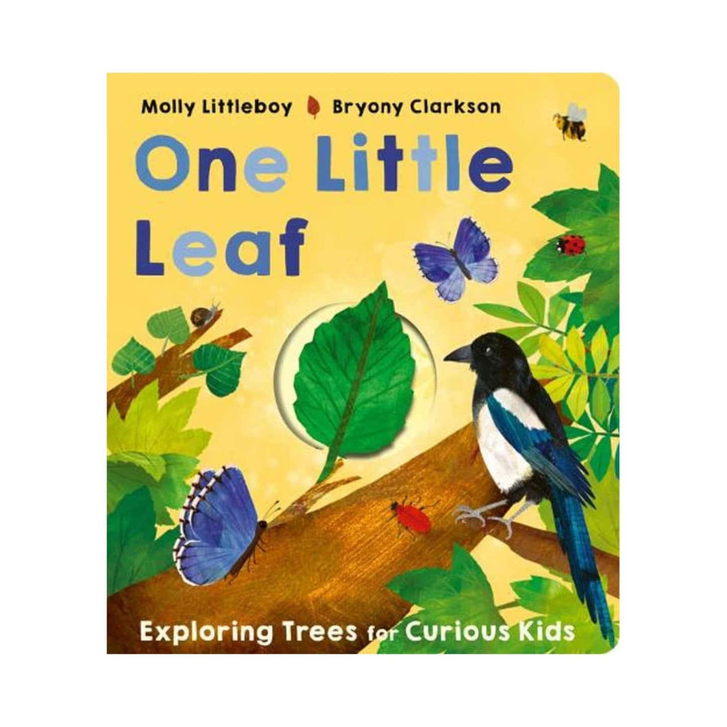 Our Bookshelf Print Books One Little Leaf - Exploring Trees for Curious Kids