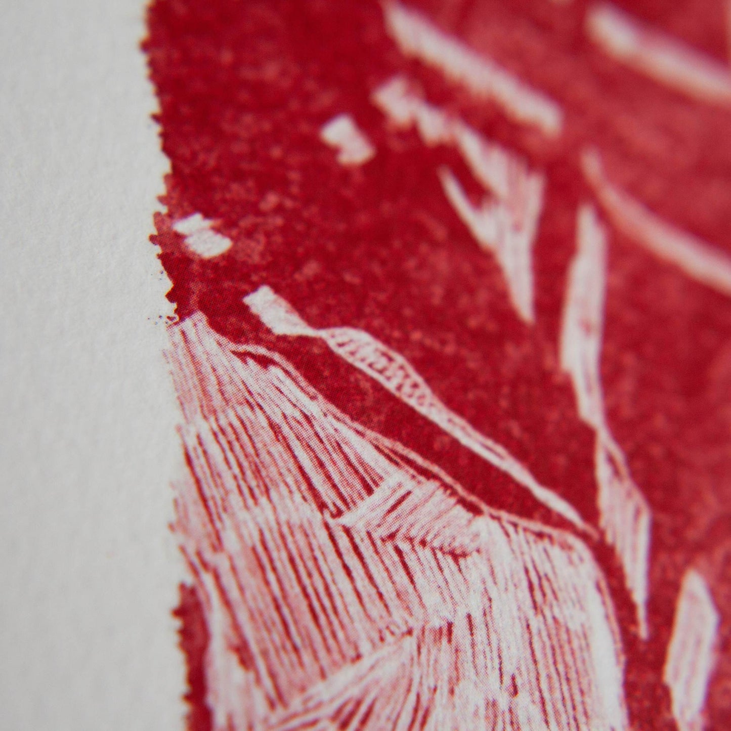 Pickled Pom Pom Prints Saoirse don Phalaistín - Limited Edition Art Print Supporting Palestine