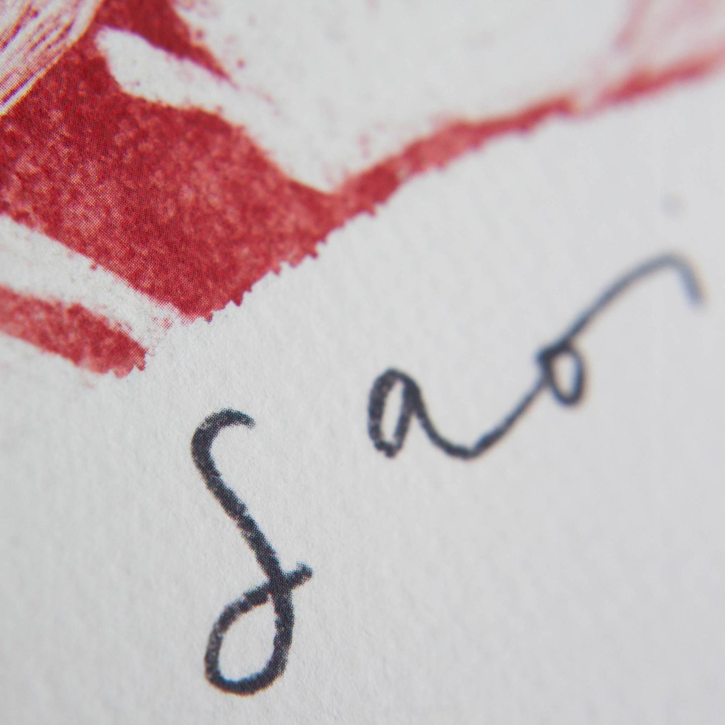 Pickled Pom Pom Prints Saoirse don Phalaistín - Limited Edition Art Print Supporting Palestine