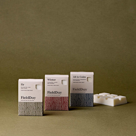 FieldDay Wax Tarts Fir Wax Melts - Natural Vegetable Wax Melts - FieldDay