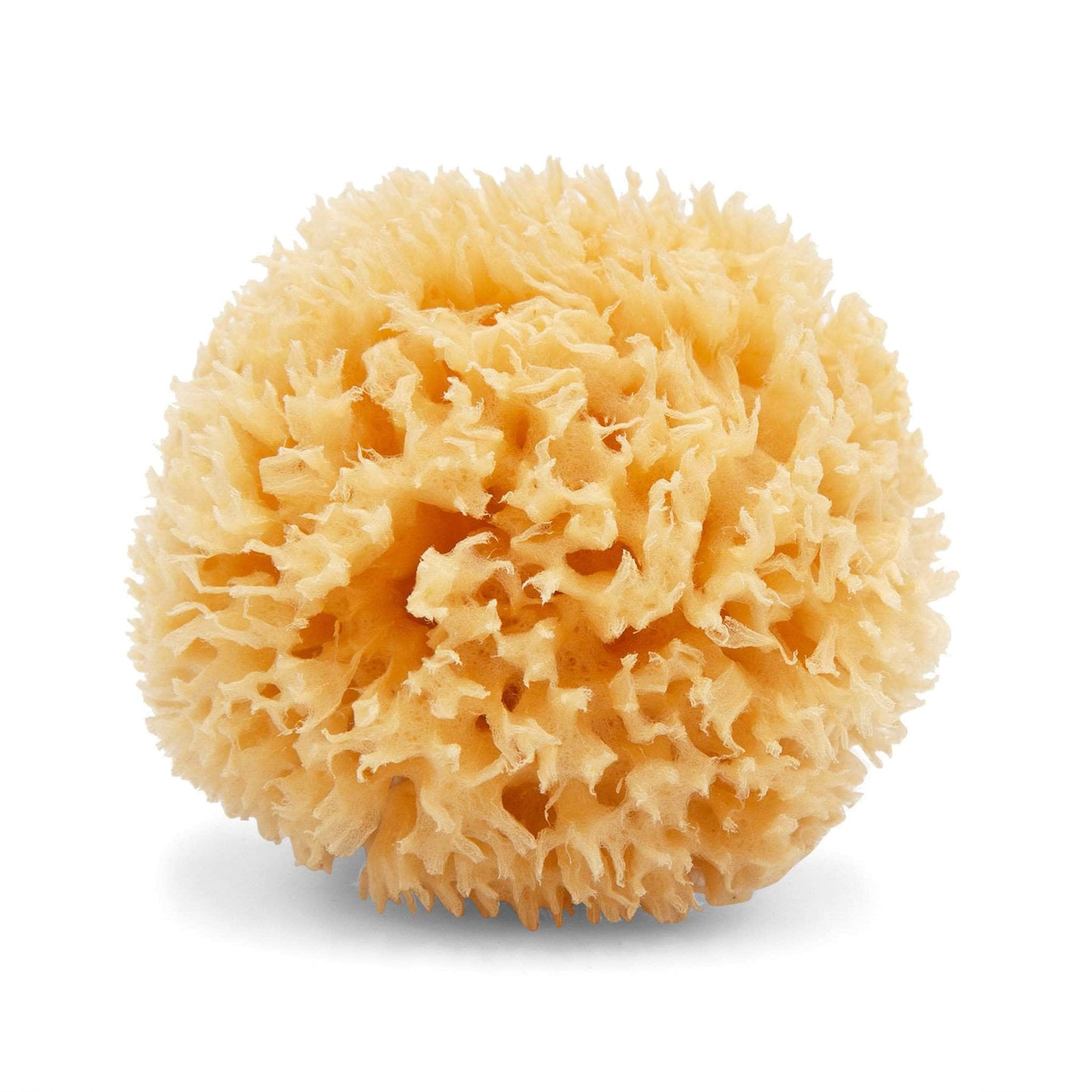 Sea Wool Natural Sponge