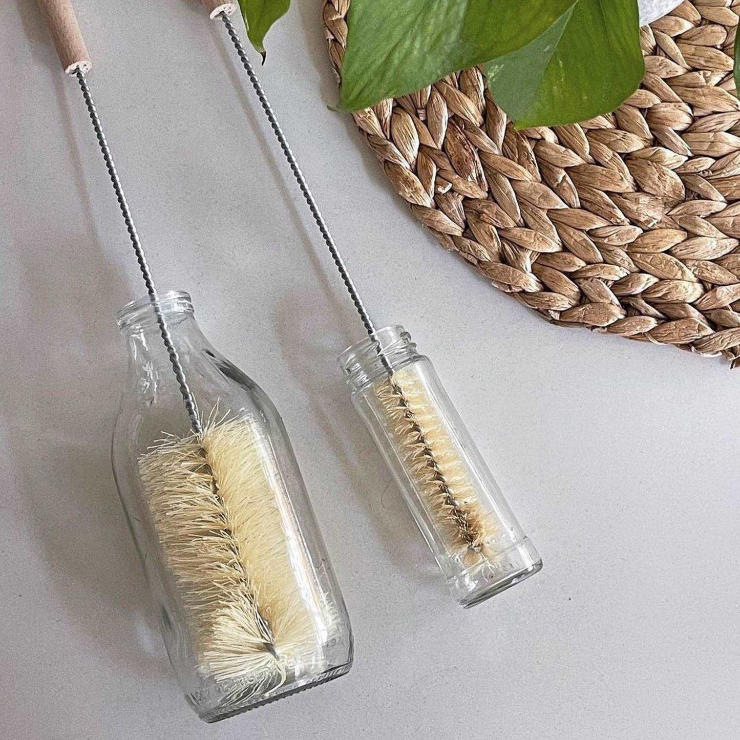 ecoLiving Brushes Vegan Bottle Brush with 100% FSC Wooden Handle - ecoLiving