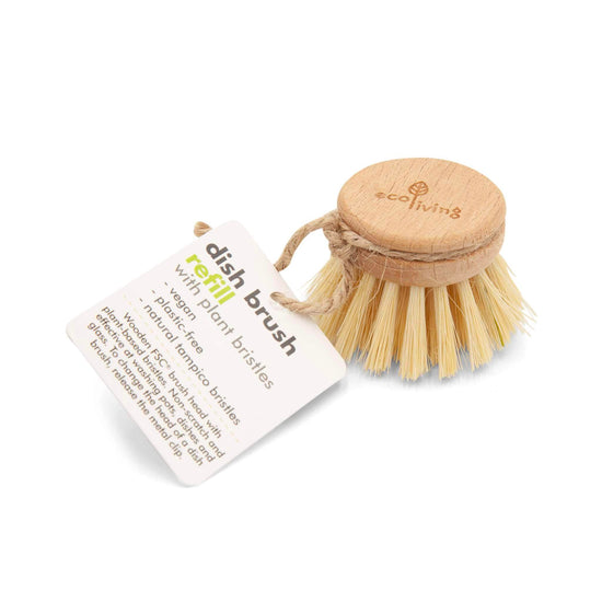 ecoLiving Brushes Wooden Dish Brush Replacement Head  - Natural Plant Bristles (FSC 100%)
