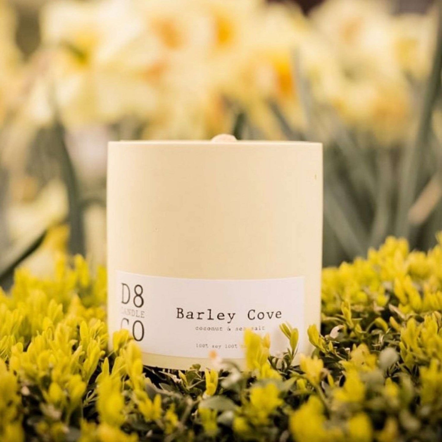 Load image into Gallery viewer, D8 Candle Co. Candles Barley Cove Candle - D8 Candle Co.
