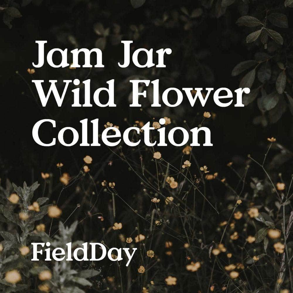 FieldDay Candles FieldDay Jam Jar Collection Jar Candle 190g/40hrs - Clover