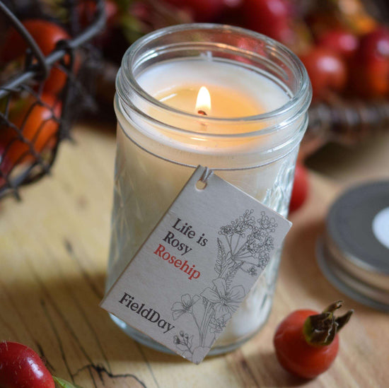 https://www.faerly.ie/cdn/shop/products/candles-fieldday-jam-jar-collection-jar-candle-190g-40hrs-rosehip-37469528817898_550x.jpg?v=1655569014
