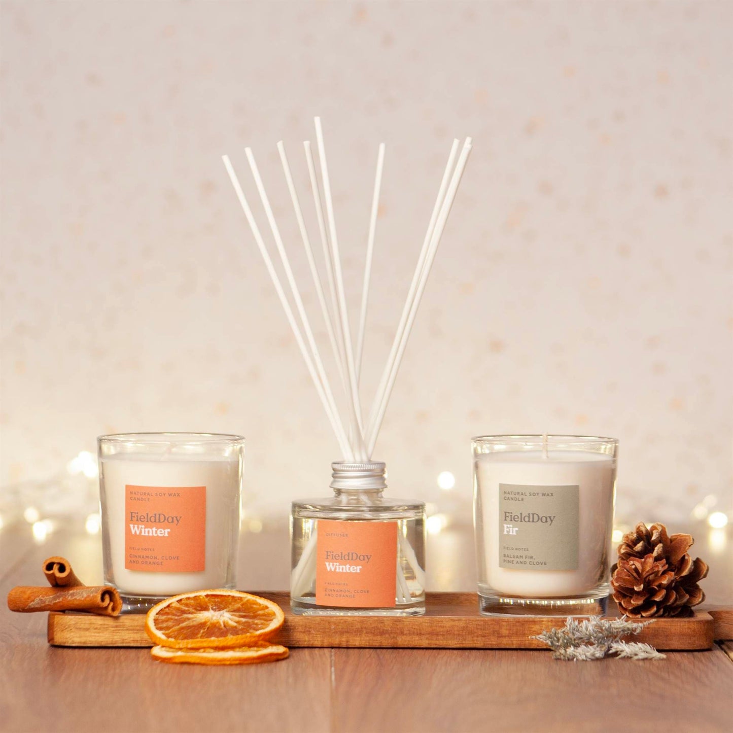 Load image into Gallery viewer, FieldDay Candles Winter Diffuser &amp;amp; 2 Candle Set FieldDay Wintertime Collection Gift Box
