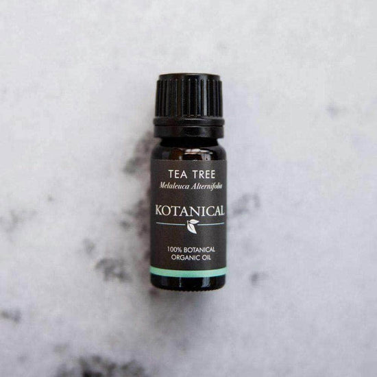 Kotanical Essential Oil Tea Tree Essential Oil 10ml
