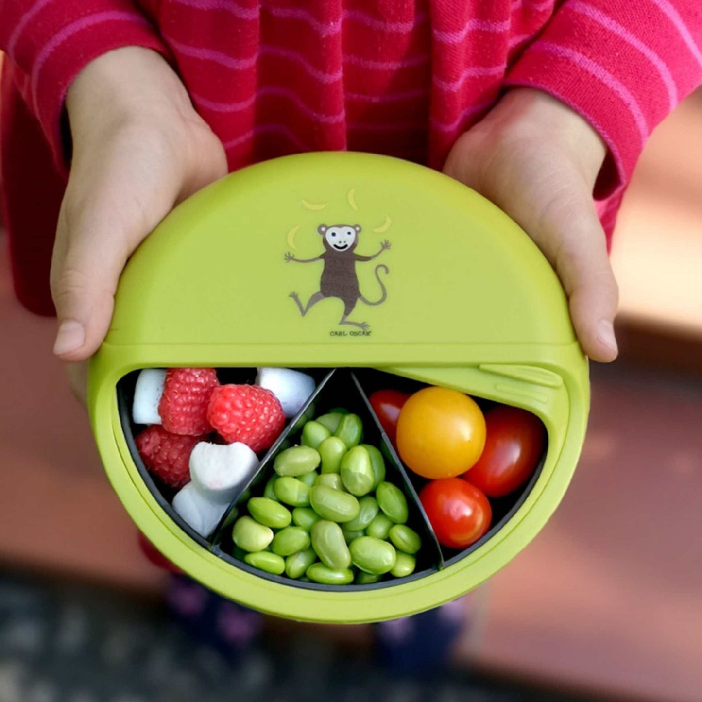 Carl Oscar Lunch Boxes & Totes Green SnackDISC Children's Lunchbox - Kids Bento Snack Box