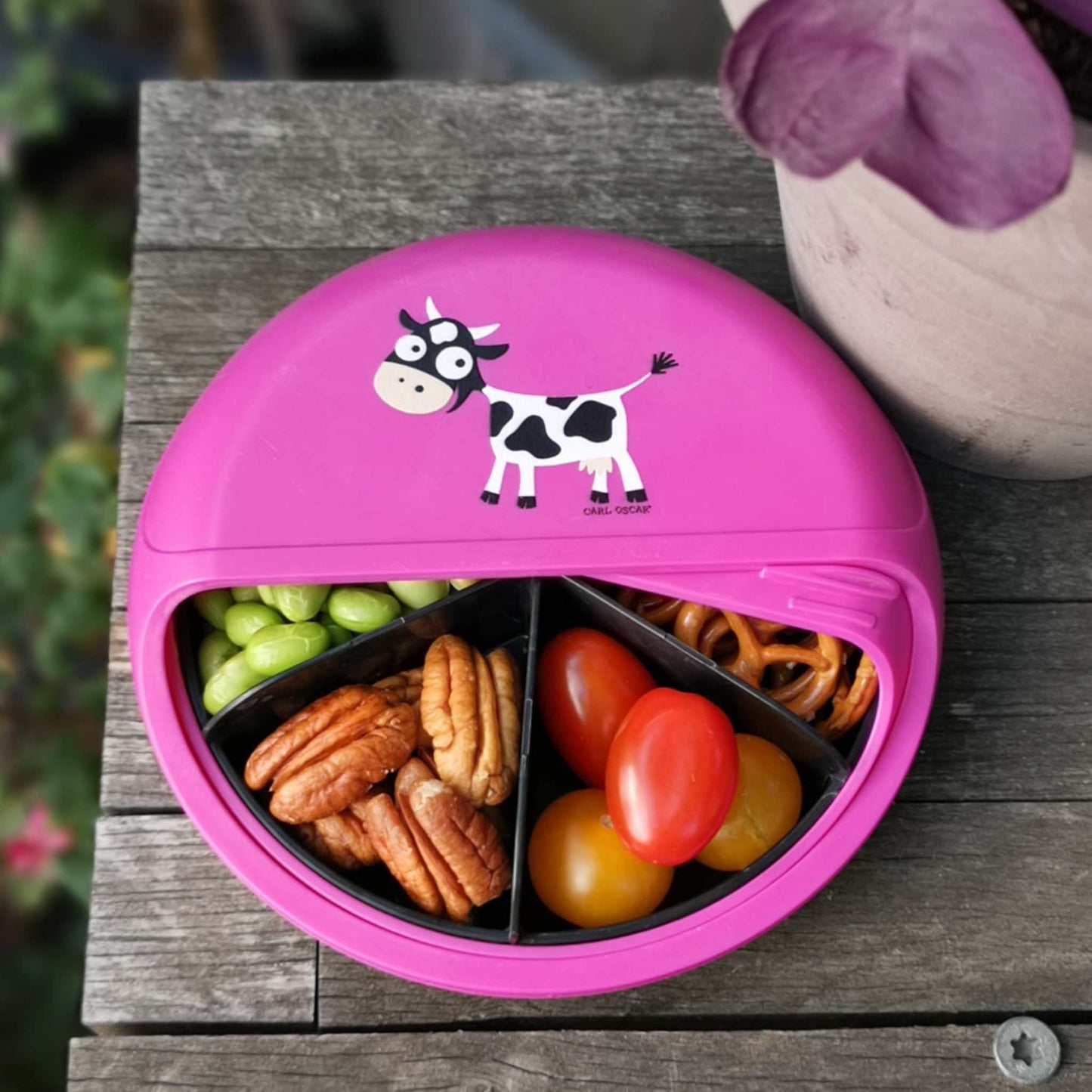 Carl Oscar Lunch Boxes & Totes Pink SnackDISC Children's Lunchbox - Kids Bento Snack Box