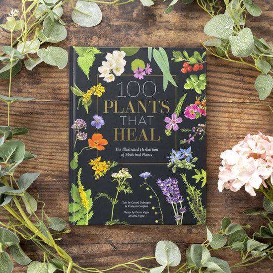 Our Bookshelf Print Books 100 Plants That Heal - Illustrated Herbarium of Medicinal Plants