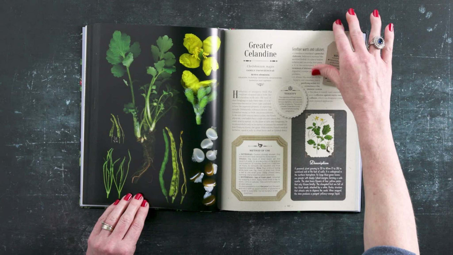 Our Bookshelf Print Books 100 Plants That Heal - Illustrated Herbarium of Medicinal Plants