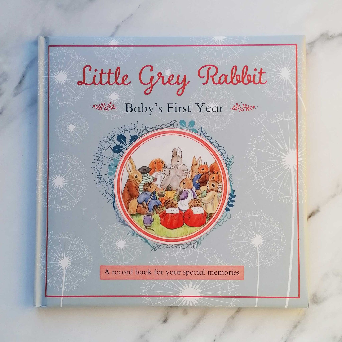 Our Bookshelf Print Books Baby's First Year Record Book - Little Grey Rabbit