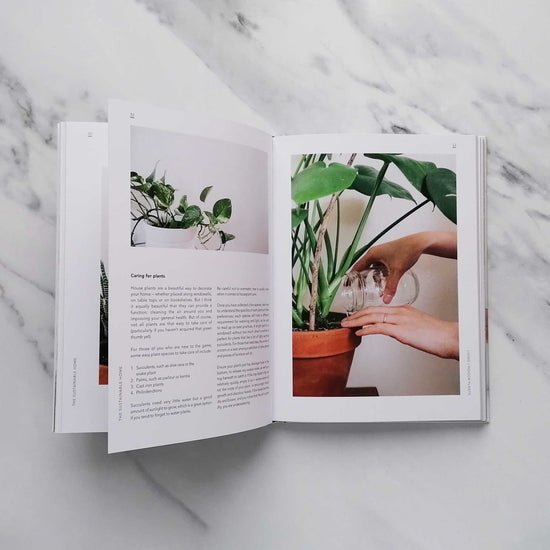 Load image into Gallery viewer, Our Bookshelf Print Books Sustainable Home : Practical projects, tips and advice for maintaining a more eco-friendly household
