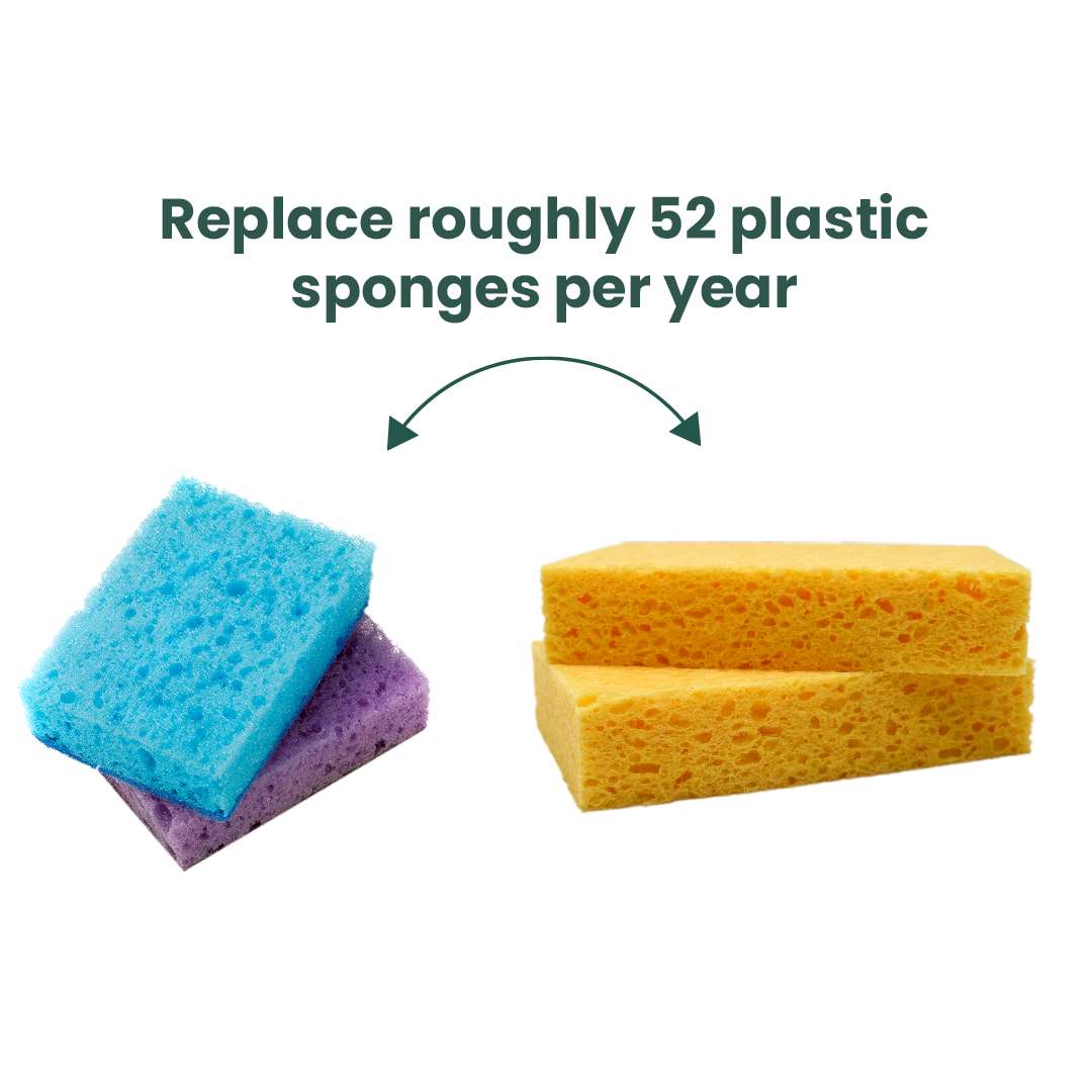 EcoVibe Sponges & Scouring Pads Plastic Free Compostable Sponges - 2-Pack - EcoVibe
